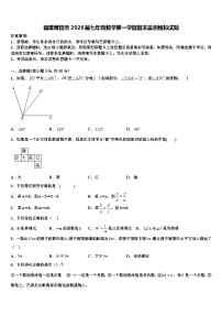福建莆田市2026届七年级数学第一学期期末监测模拟试题含解析