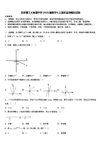 北京理工大附属中学2026届数学七上期末监测模拟试题含解析