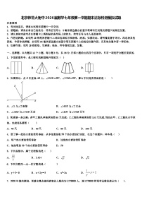 北京师范大附中2026届数学七年级第一学期期末达标检测模拟试题含解析