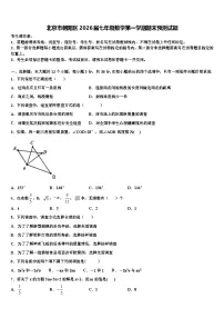 北京市朝阳区2026届七年级数学第一学期期末预测试题含解析