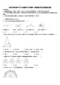 北京市清华附中2026届数学七年级第一学期期末综合测试模拟试题含解析