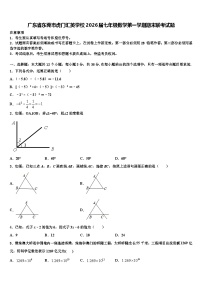 广东省东莞市虎门汇英学校2026届七年级数学第一学期期末联考试题含解析