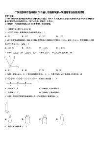 广东省东莞市石碣镇2026届七年级数学第一学期期末达标检测试题含解析