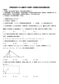 甘肃省定西市2026届数学七年级第一学期期末质量检测模拟试题含解析