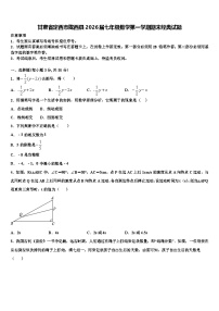 甘肃省定西市陇西县2026届七年级数学第一学期期末经典试题含解析