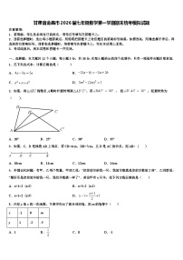 甘肃省金昌市2026届七年级数学第一学期期末统考模拟试题含解析