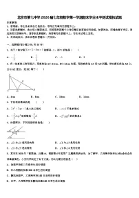 北京市第七中学2026届七年级数学第一学期期末学业水平测试模拟试题含解析