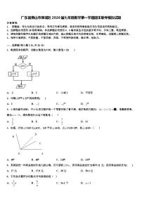 广东省佛山市禅城区2026届七年级数学第一学期期末联考模拟试题含解析
