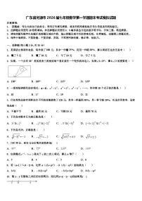 广东省河源市2026届七年级数学第一学期期末考试模拟试题含解析