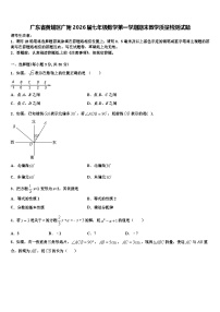 广东省黄埔区广附2026届七年级数学第一学期期末教学质量检测试题含解析