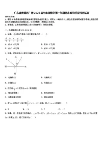 广东省黄埔区广附2026届七年级数学第一学期期末教学质量检测试题含解析