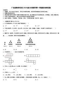 广东省惠州市名校2026届七年级数学第一学期期末调研试题含解析