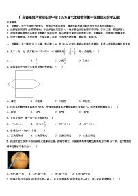 广东省揭阳产业园实验中学2026届七年级数学第一学期期末统考试题含解析