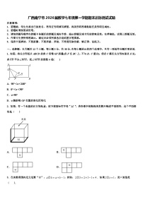 广西南宁市2026届数学七年级第一学期期末达标测试试题含解析