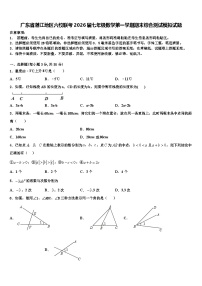 广东省湛江地区六校联考2026届七年级数学第一学期期末综合测试模拟试题含解析
