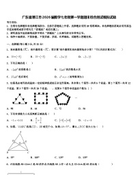 广东省湛江市2026届数学七年级第一学期期末综合测试模拟试题含解析