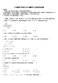 广东省湛江市名校2026届数学七上期末考试试题含解析