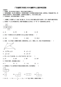 广东省湛江市名校2026届数学七上期末考试试题含解析