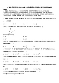 广东省肇庆第四中学2026届七年级数学第一学期期末复习检测模拟试题含解析