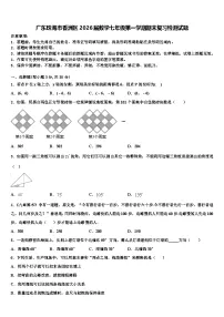 广东珠海市香洲区2026届数学七年级第一学期期末复习检测试题含解析