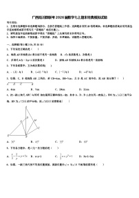 广西陆川县联考2026届数学七上期末经典模拟试题含解析
