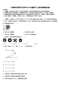 广西柳州市城中区文华中学2026届数学七上期末调研模拟试题含解析