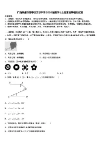 广西柳州市城中区文华中学2026届数学七上期末调研模拟试题含解析