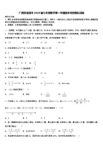 广西防城港市2026届七年级数学第一学期期末检测模拟试题含解析