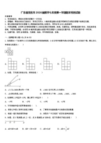 广东省茂名市2026届数学七年级第一学期期末检测试题含解析