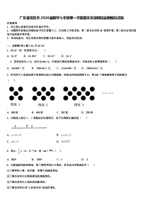 广东省茂名市2026届数学七年级第一学期期末质量跟踪监视模拟试题含解析