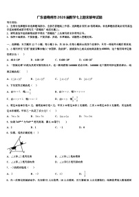 广东省梅州市2026届数学七上期末联考试题含解析