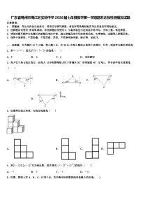 广东省梅州市梅江区实验中学2026届七年级数学第一学期期末达标检测模拟试题含解析