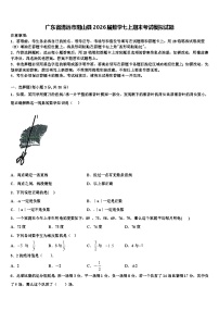 广东省清远市阳山县2026届数学七上期末考试模拟试题含解析
