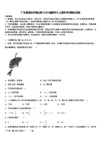 广东省清远市阳山县2026届数学七上期末考试模拟试题含解析