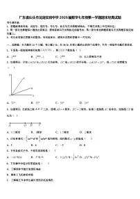 广东省汕头市龙湖实验中学2026届数学七年级第一学期期末经典试题含解析
