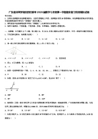 广东省深圳罗湖区四校联考2026届数学七年级第一学期期末复习检测模拟试题含解析