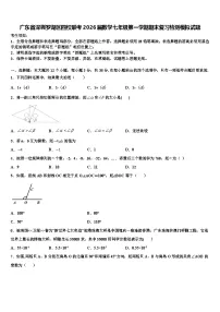 广东省深圳罗湖区四校联考2026届数学七年级第一学期期末复习检测模拟试题含解析