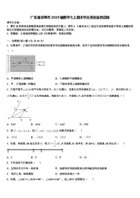 广东省深圳市2026届数学七上期末学业质量监测试题含解析