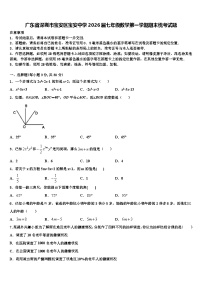 广东省深圳市宝安区宝安中学2026届七年级数学第一学期期末统考试题含解析