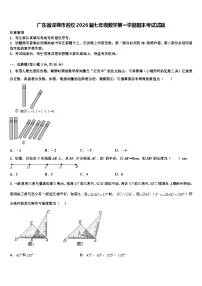 广东省深圳市名校2026届七年级数学第一学期期末考试试题含解析