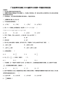 广东省深圳市光明区2026届数学七年级第一学期期末预测试题含解析