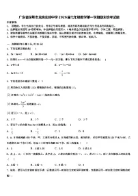广东省深圳市龙岗实验中学2026届七年级数学第一学期期末统考试题含解析