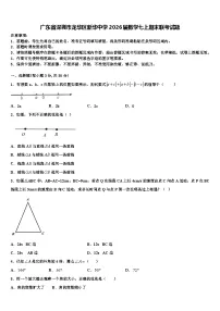 广东省深圳市龙华区新华中学2026届数学七上期末联考试题含解析