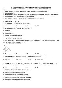 广东省深圳市南山区2026届数学七上期末质量跟踪监视试题含解析