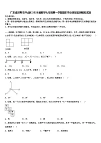 广东省深圳市坪山区2026届数学七年级第一学期期末学业质量监测模拟试题含解析