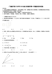 广西南宁四十九中学2026届七年级数学第一学期期末统考试题含解析