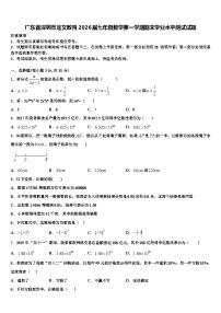 广东省深圳市龙文教育2026届七年级数学第一学期期末学业水平测试试题含解析