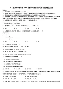 广东省揭阳市普宁市2026届数学七上期末学业水平测试模拟试题含解析