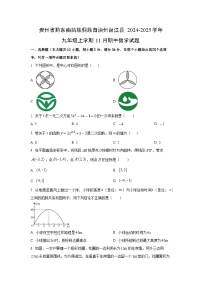 贵州省黔东南苗族侗族自治州台江县2024-2025学年九年级上学期11月期中数学试题（学生版）