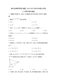 贵州省贵阳市观山湖区2024-2025学年九年级上学期11月期中数学试题（学生版）